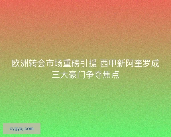 欧洲转会市场重磅引援 西甲新阿奎罗成三大豪门争夺焦点 欧洲转会市场重磅引援 西甲新阿奎罗成三大豪门争夺焦点