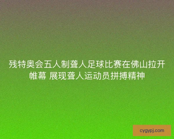 残特奥会五人制聋人足球比赛在佛山拉开帷幕 展现聋人运动员拼搏精神