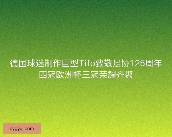 德国球迷制作巨型Tifo致敬足协125周年四冠欧洲杯三冠荣耀齐聚