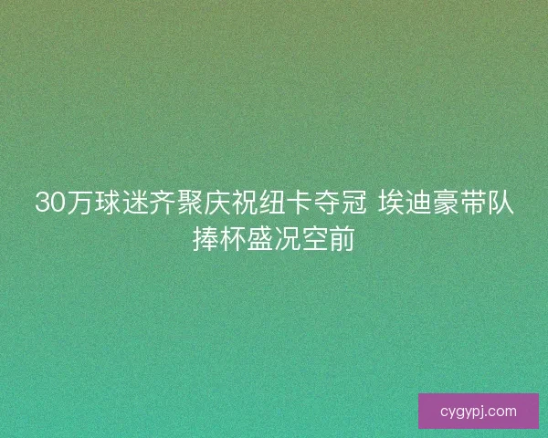 30万球迷齐聚庆祝纽卡夺冠 埃迪豪带队捧杯盛况空前