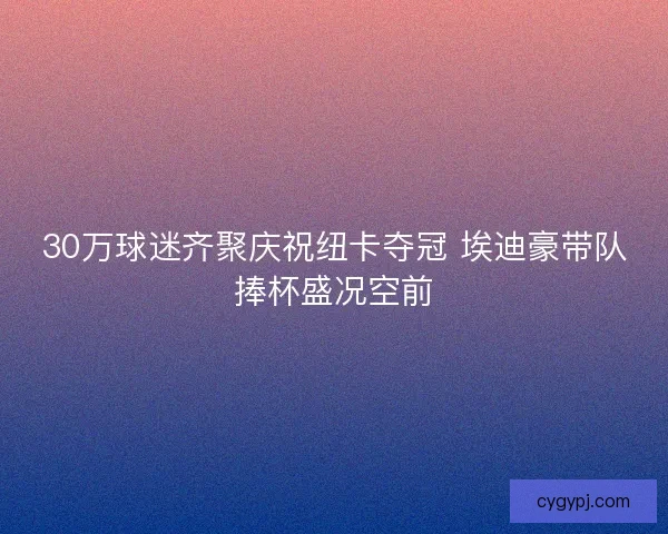 30万球迷齐聚庆祝纽卡夺冠 埃迪豪带队捧杯盛况空前