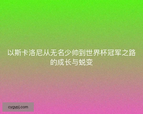 以斯卡洛尼从无名少帅到世界杯冠军之路的成长与蜕变